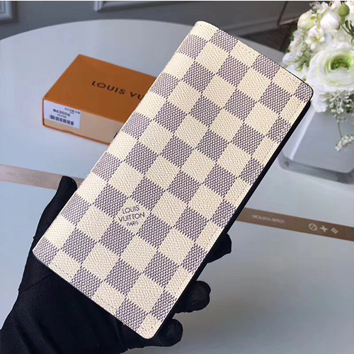 LOUIS VUITTON 루이비통 브라짜 월릿 N60121
