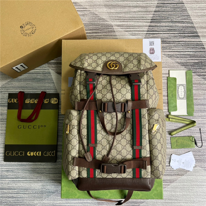 GUCCI 구찌 GG 스케이트보드 백팩 690999