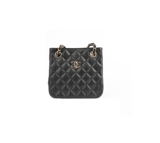 CHANEL 샤넬 미니 버킷백 AS3176