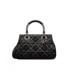 DIOR 디올 레이디백 2COLOR