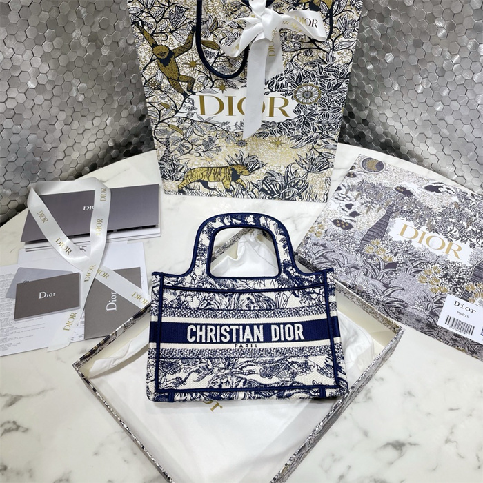 DIOR 디올 미니 북 토트백 M113865 