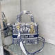 DIOR 디올 레이디 M0565